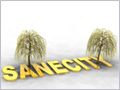 sanecity's Avatar