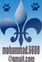 mohammad-online's Avatar