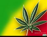 2_peace's Avatar