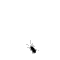 mhkyazd's Avatar