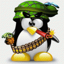 shetab1.1's Avatar