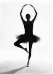 fatima_shadab's Avatar