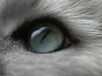 atilazz's Avatar