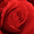 dr_n's Avatar