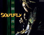 SOULFLY*'s Avatar