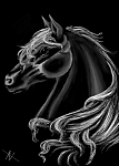 silversaeed_2007's Avatar