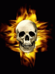 navidkasper's Avatar