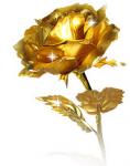 goldenrose171's Avatar