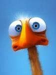 shakerifarzad's Avatar