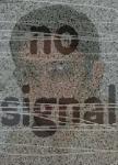 No Signal's Avatar