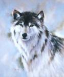 Silver_Wolf's Avatar