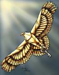 Gold-Eagle's Avatar