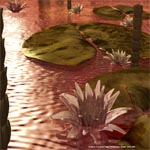 asdsdf's Avatar