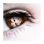 kave66's Avatar