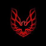 Sini Muscle's Avatar