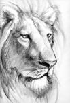 PNT's Avatar
