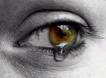sajad_salehi's Avatar