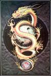 Golden Dragon's Avatar