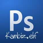 kambiz.elf's Avatar