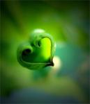 h.relaxed's Avatar