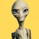 bahamir's Avatar