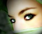 golnar_14's Avatar