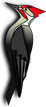 joomirhost's Avatar